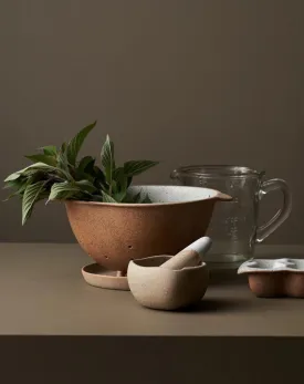 Colander & Plate GARDEN TO TABLE